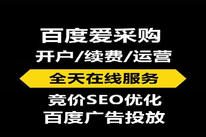 百度推广的成功案例：从零到一的突破
